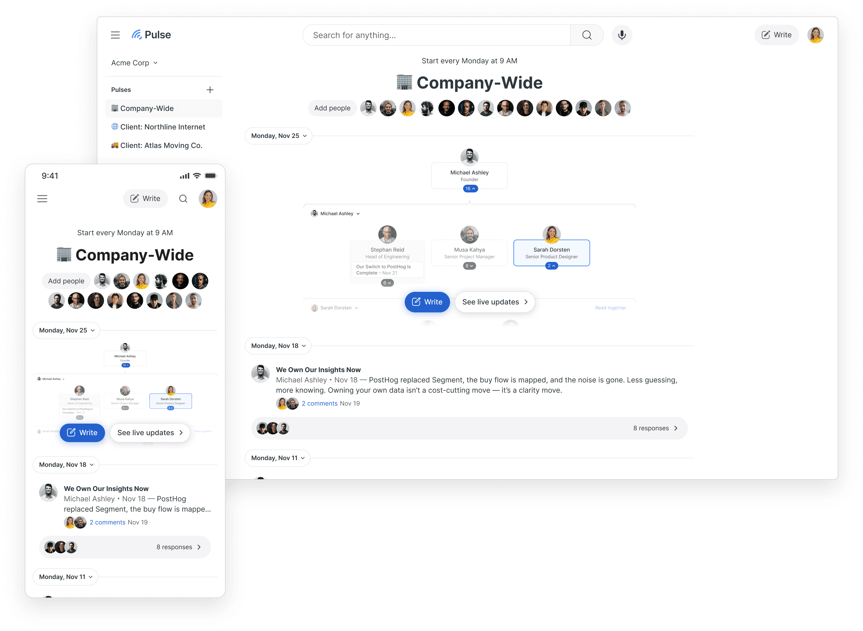Pulse team ladder view